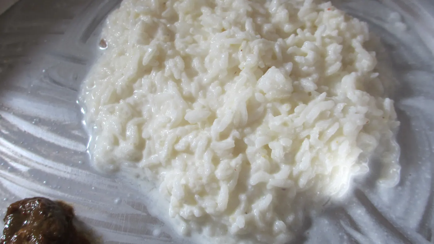 Curd rice bowl with pickle and mild seasoning